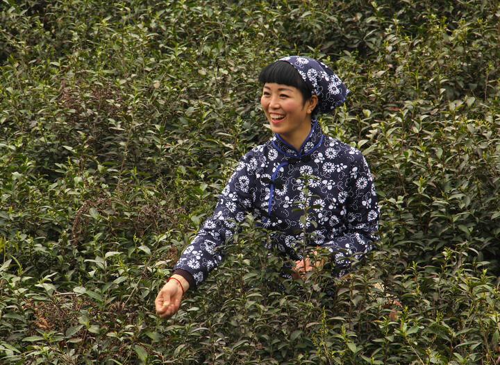 直播跳舞1